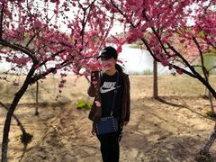 -大兴滨河森林公园