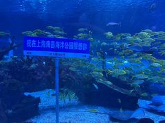 -上海海昌海洋公园