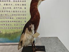 -辽宁大学(崇山校区)