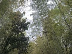 -福道