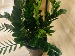 -无为足道(中南二路店)