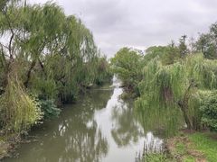 -同里国家湿地公园