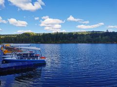 -五营红松林海景区