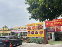 -荔枝红五号农庄