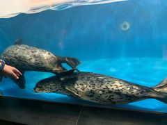 -成都浩海立方海洋公园