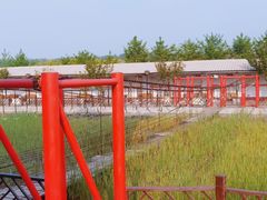 -河北村民俗体验园
