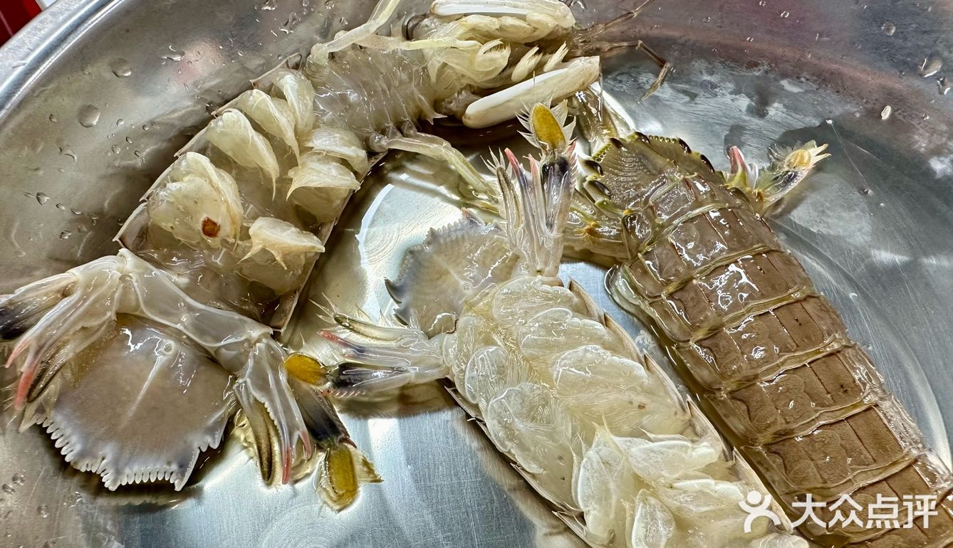 李女士又来她的食堂吃饭啦