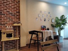 -猫友咖啡店(玉林西路店)