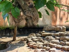 -杭州野生动物世界