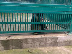 -秦皇岛野生动物园