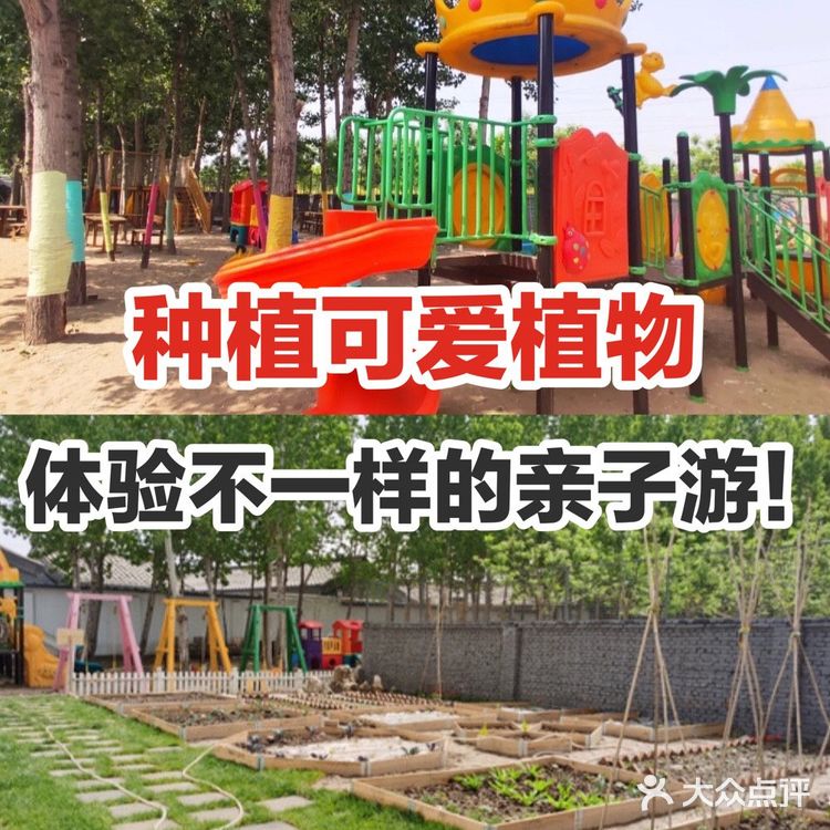 🌱种植可爱植物,体验不一样的亲子游!