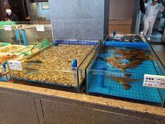 水产区-船歌·鱼水饺青岛菜(闽江二路店)
