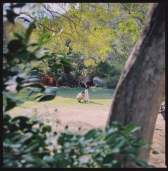 -绿皮火车照相馆 婚纱照旅拍(厦门店)