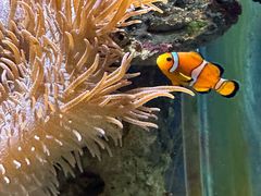 -太平洋海底世界