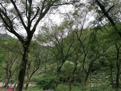 -水墨汀溪风景区