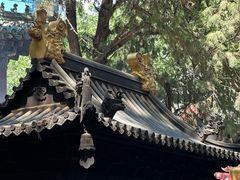 -潭柘寺景区