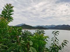 -望湖烤鱼