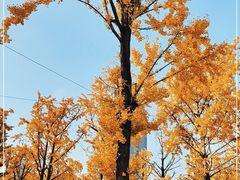 -两江幸福广场