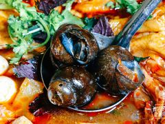 -正宗南铁拉叔沙煲螺·烧烤·秘制靓粥(南铁总店)