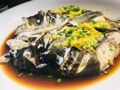 -绿茶餐厅(华联万柳店)