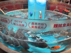 -魏铭鱼头捞饭(晋阳路店)