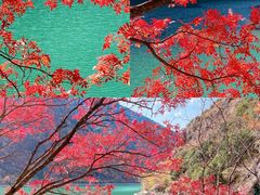 -叠溪松坪沟景区