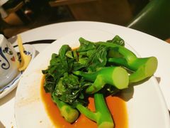 -翠华餐厅(维璟印象城店)