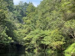 -石台牯牛降景区