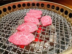-300杯·和牛烧肉清酒专门店(廊里店)