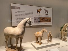 -深圳博物馆(古代艺术馆)