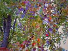 -良渚古城遗址公园