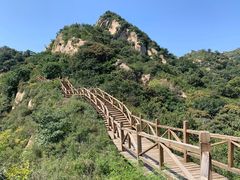 -大岭沟猕猴桃谷风景区