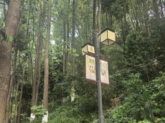 -忠山公园