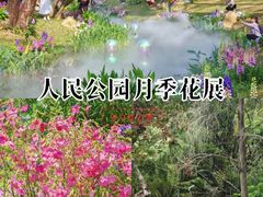 -人民公园(罗湖区)