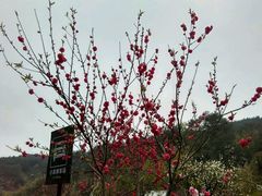 -潜口民宅博物馆