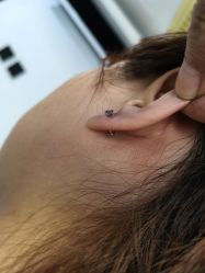 -MDZ STORE·TATTOO·耳饰