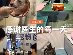 -守诺宠物医院·眼科· 特色牙科·异宠专科(虹口店)