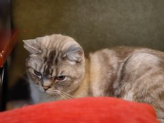 -雕刻时光·咖啡·酒吧·西餐(香山店)