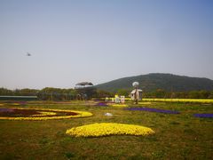 -苏州太湖西山岛开心农场