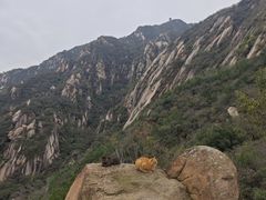 -北京凤凰岭