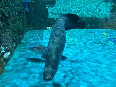 -海合安武汉极地海洋公园