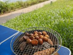 -南国桃园旅游度假区