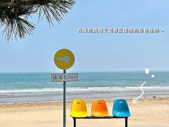 -日照海滨国家森林公园