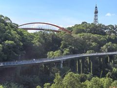 -金鸡山公园