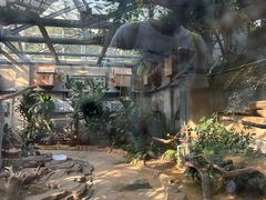 -大连森林动物园