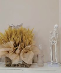 -颜和骨正·明哲式骨相美学整骨
