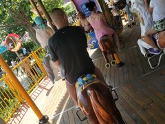 -秦皇岛乐岛海洋王国