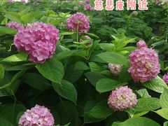 -陶然亭公园