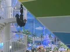 -青岛东方影都融创水世界