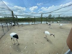 -盐城丹顶鹤湿地生态旅游区